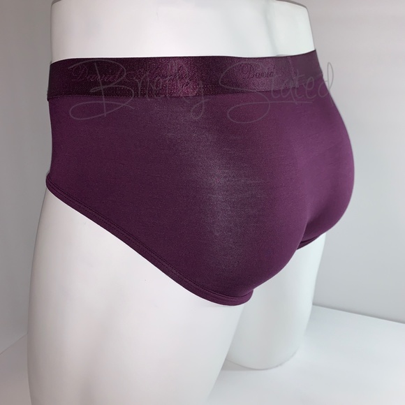David Archy Micro Modal Briefs - Wine - Picture 5 of 7